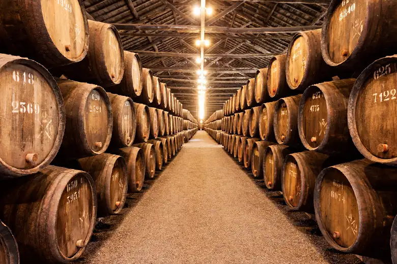 elaboracion del vino